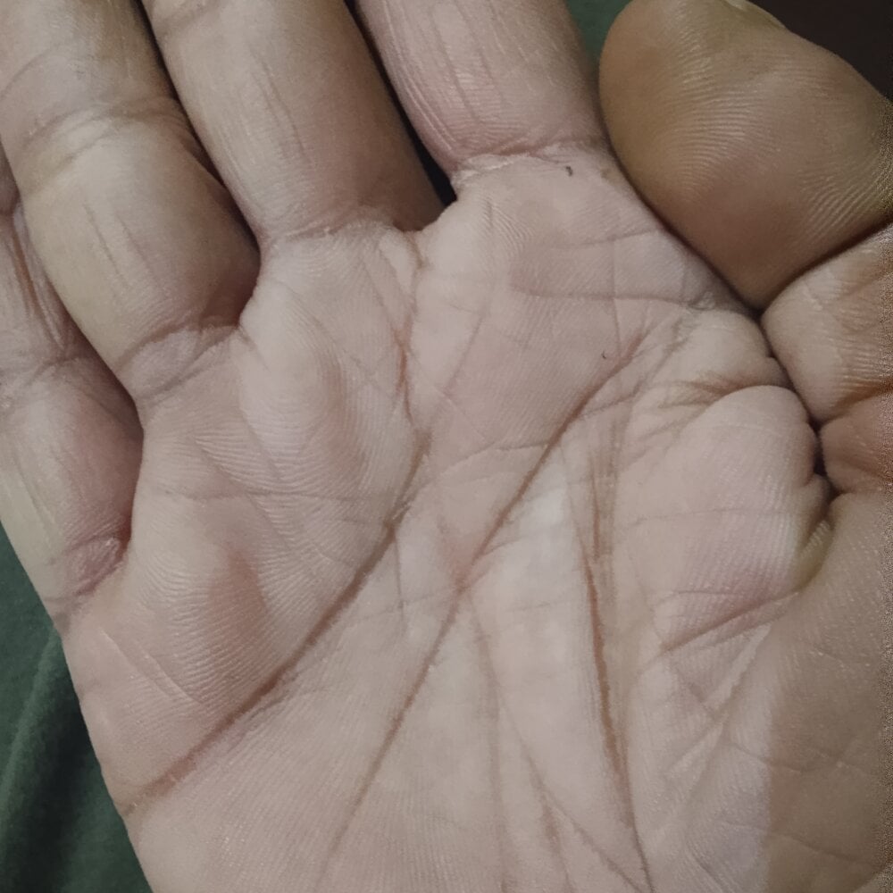 TheGentselect profile