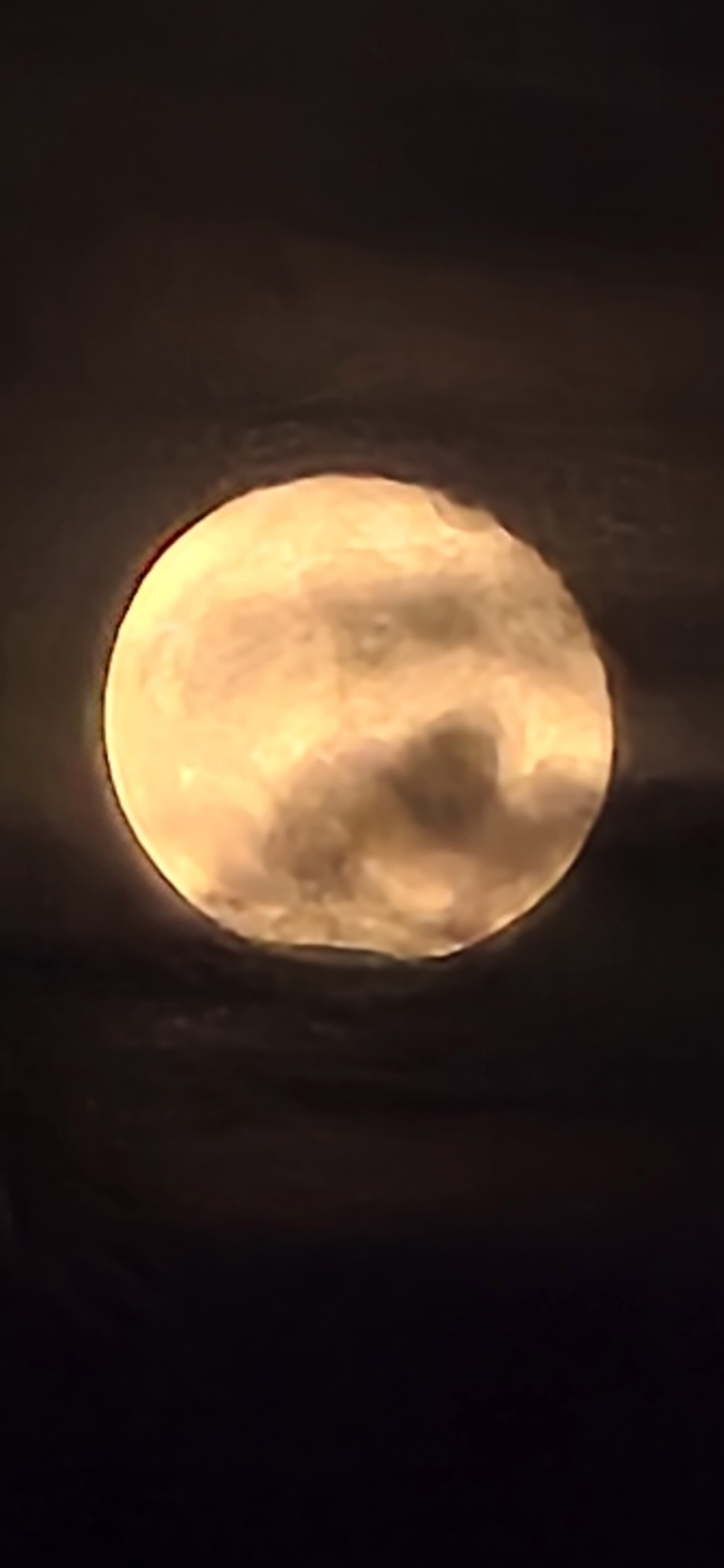 Ammu8783 live webcam