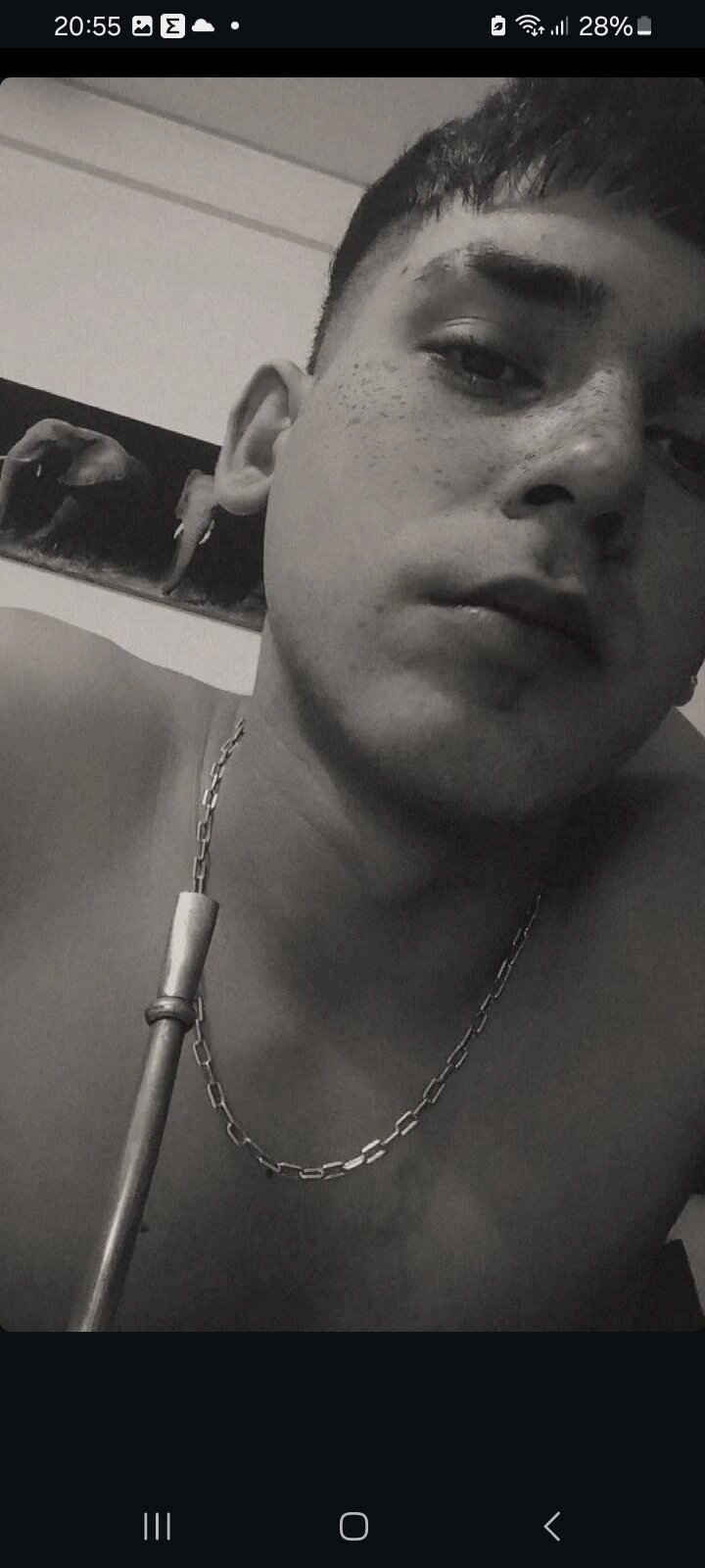 rayaverd