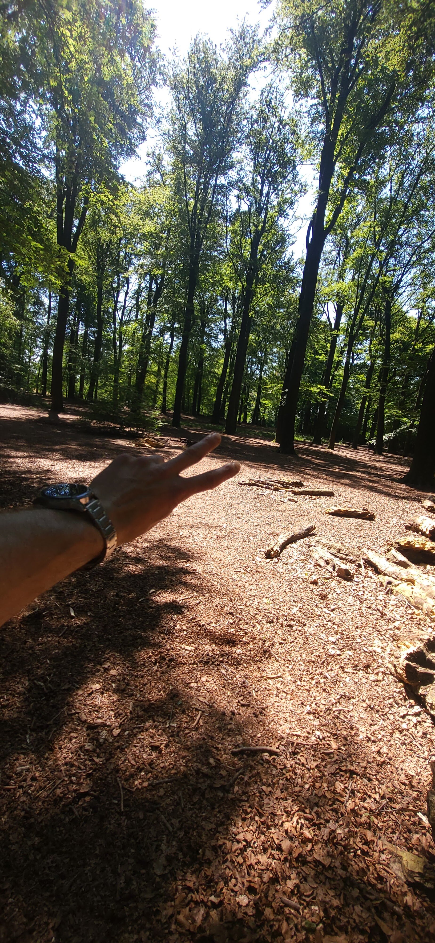 Wilsonn86 live webcam