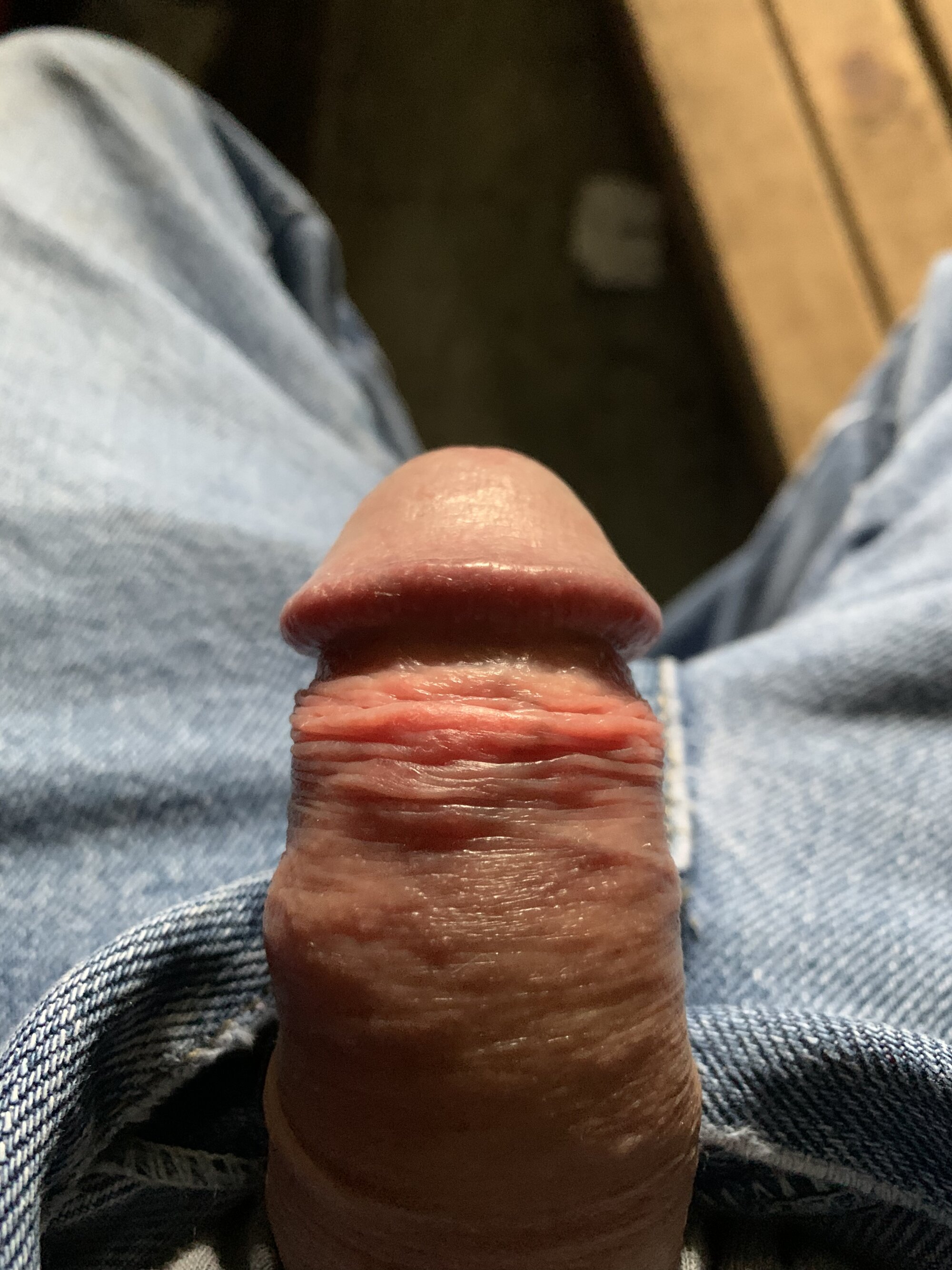 bertram59 live webcam