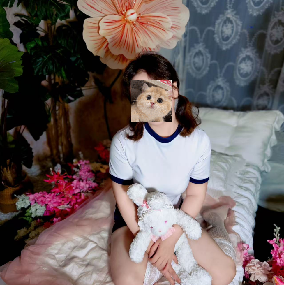fanqie-baby profile