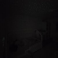 chubbybear88's webcam live show