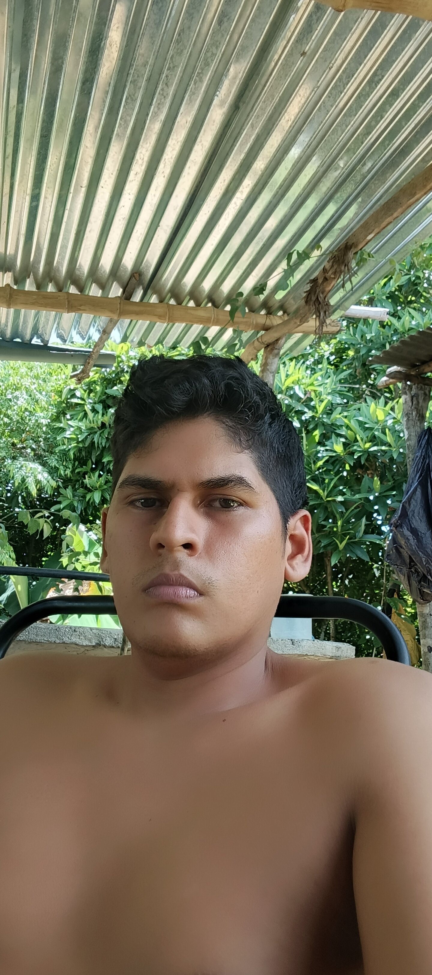 consentidoconsentidoo