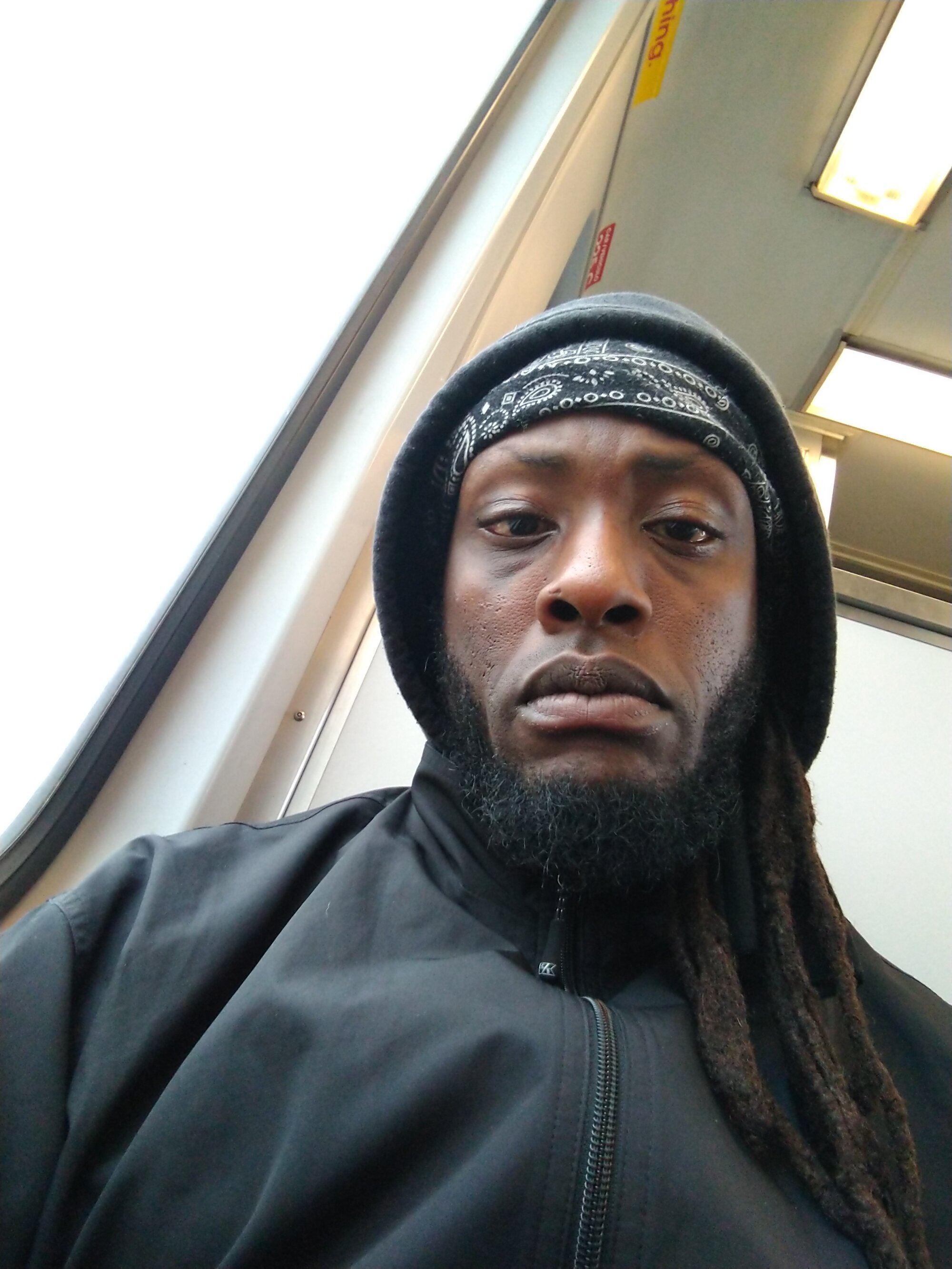 rastreebbc