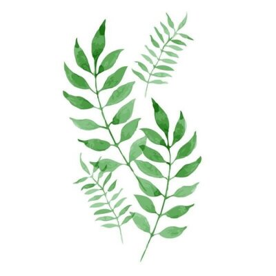 Latinacowgirl profile