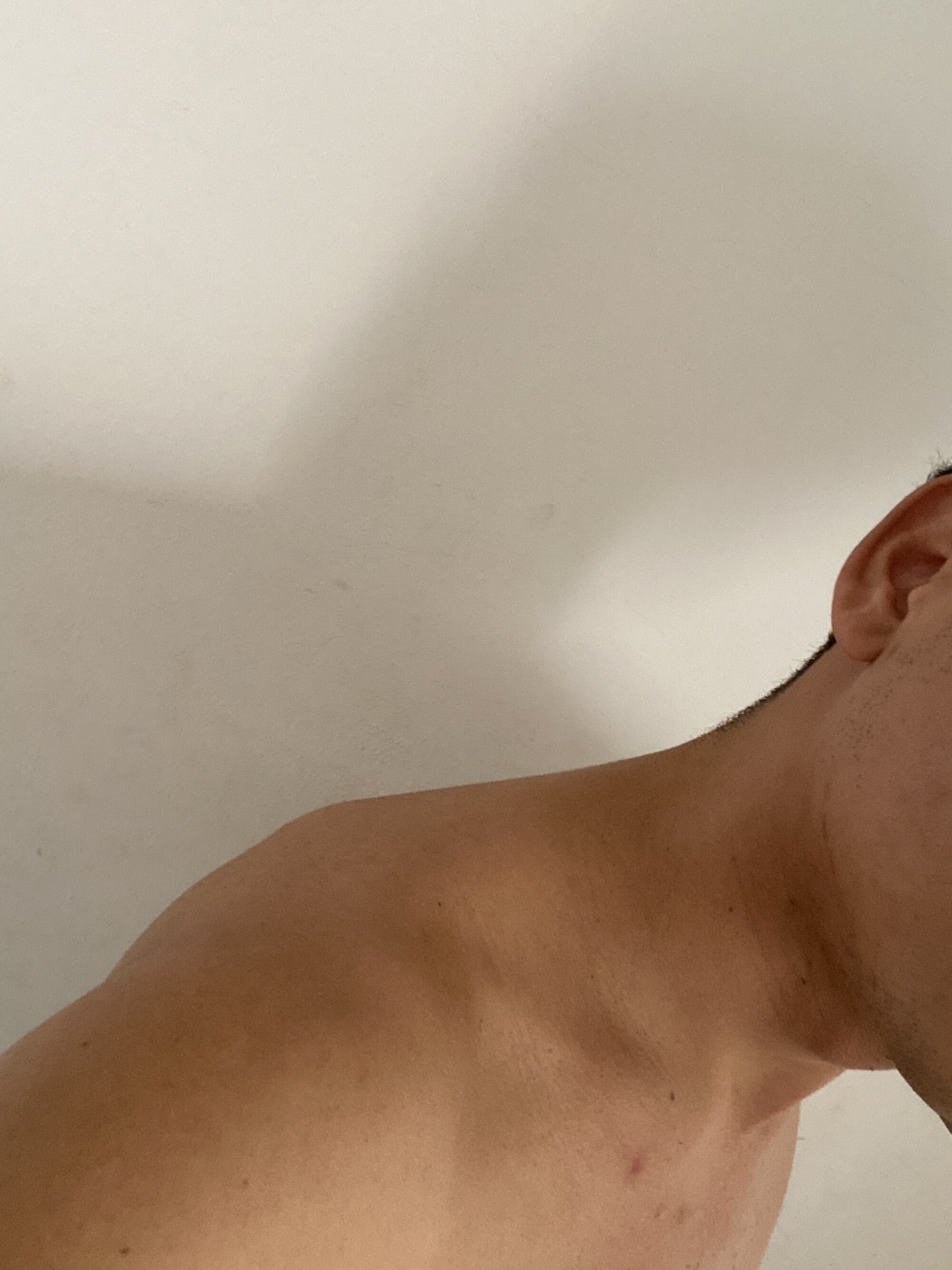 Maxdelatorrez98