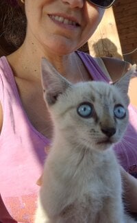 Chat XXX en directo de KamillaSpencer