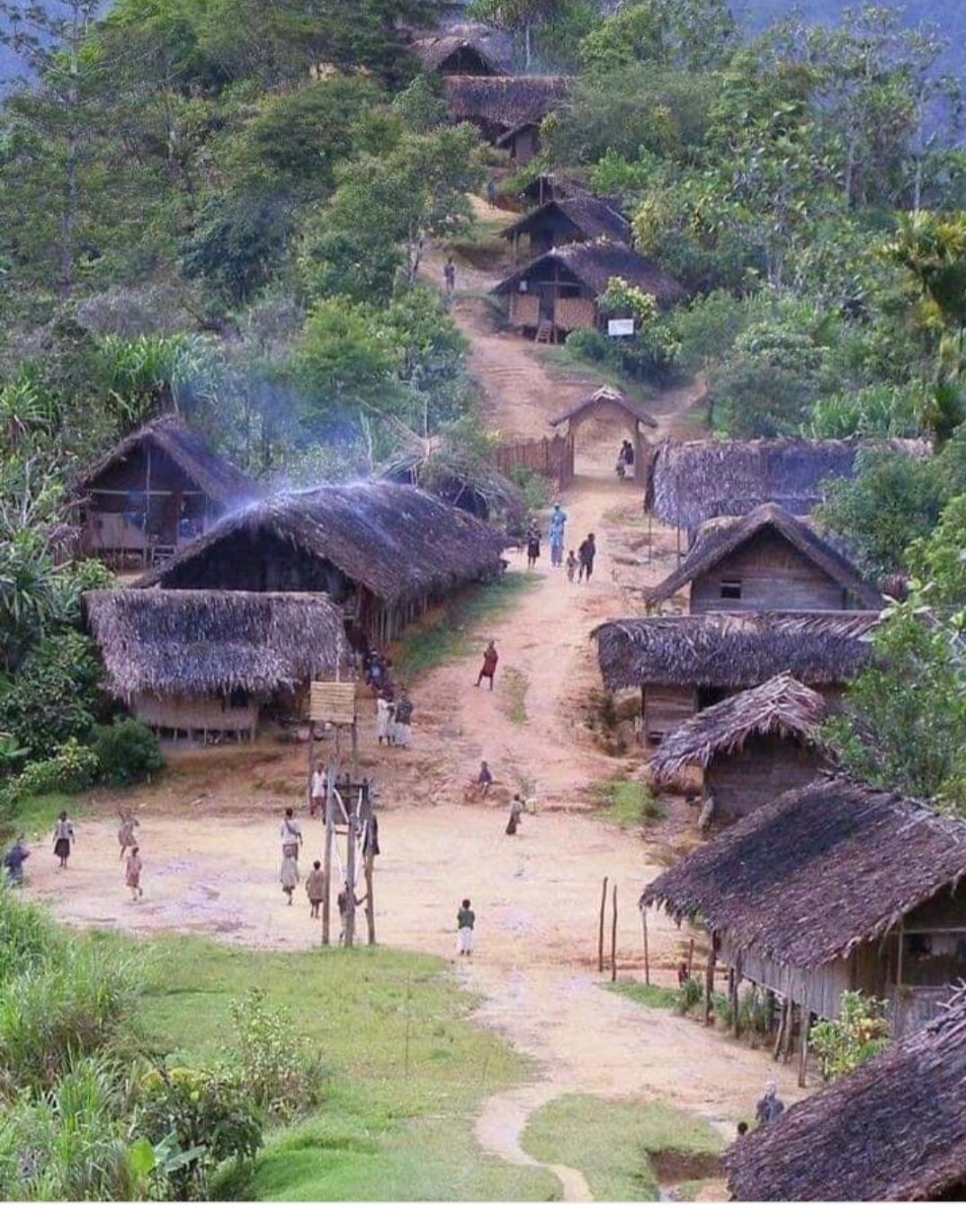 hoangnh