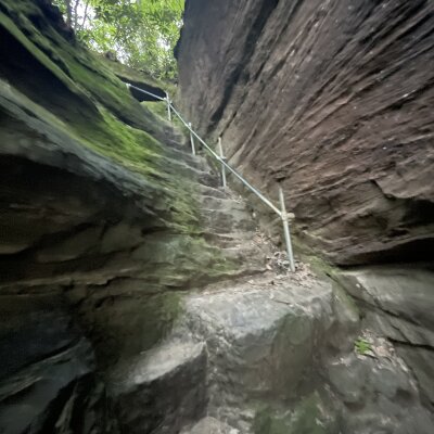 Juliusfrogman Avatar