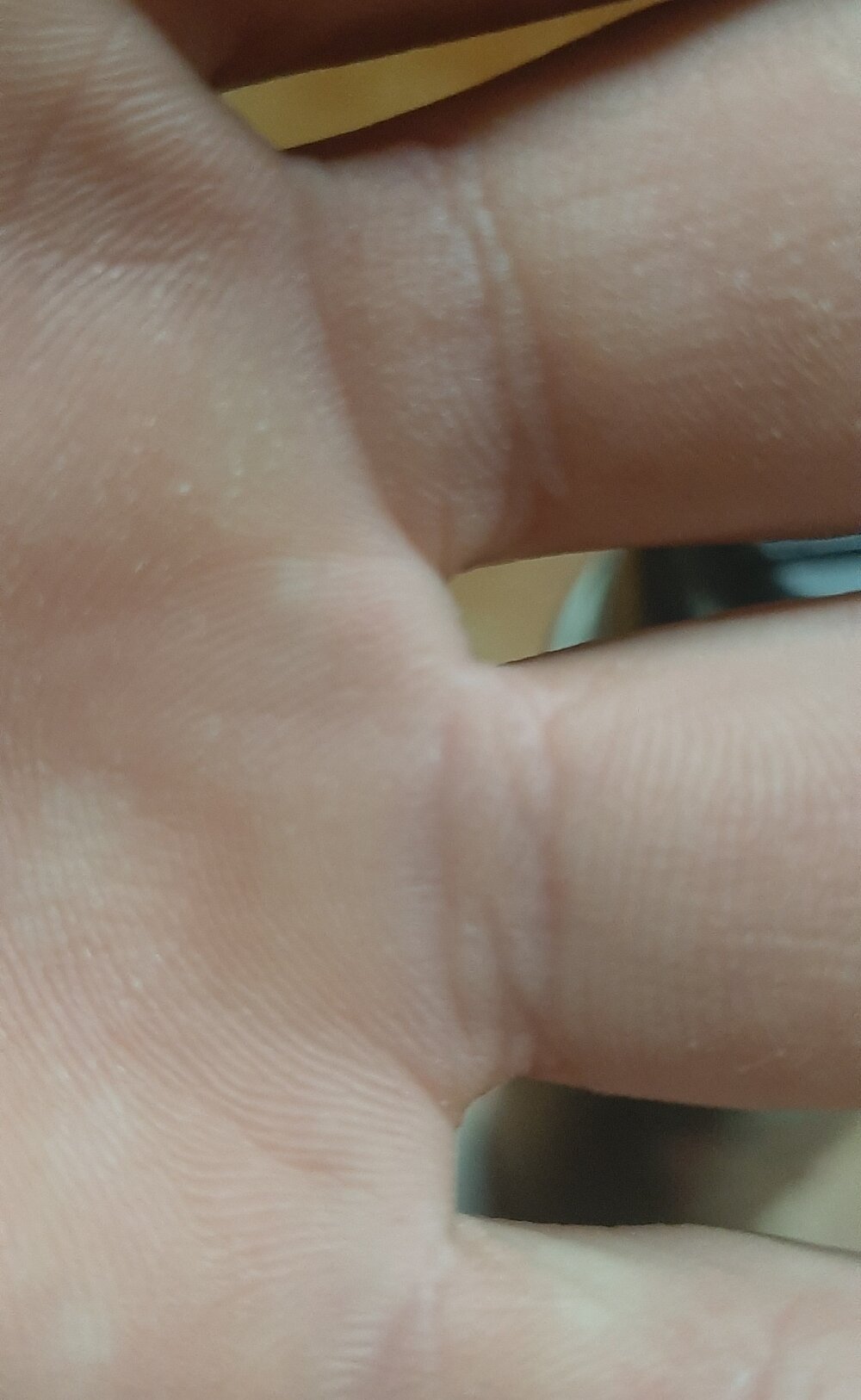 1995gf from stripchat