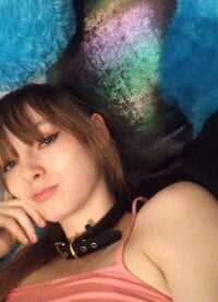 kitten1314 offline chatrum
