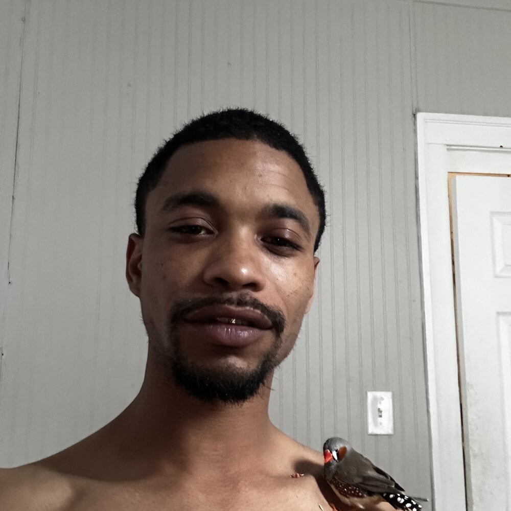 whiz666's Offline XXX Chat