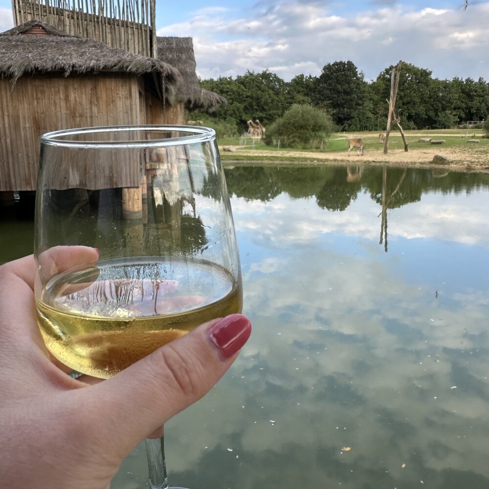 dadou85h from stripchat