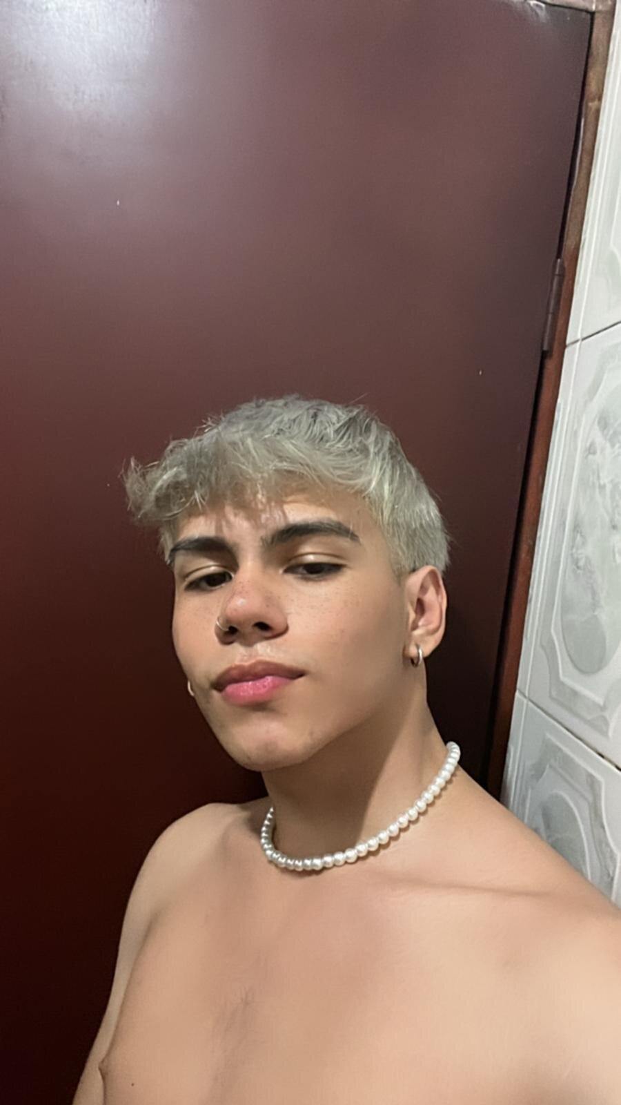 Austin_falcon