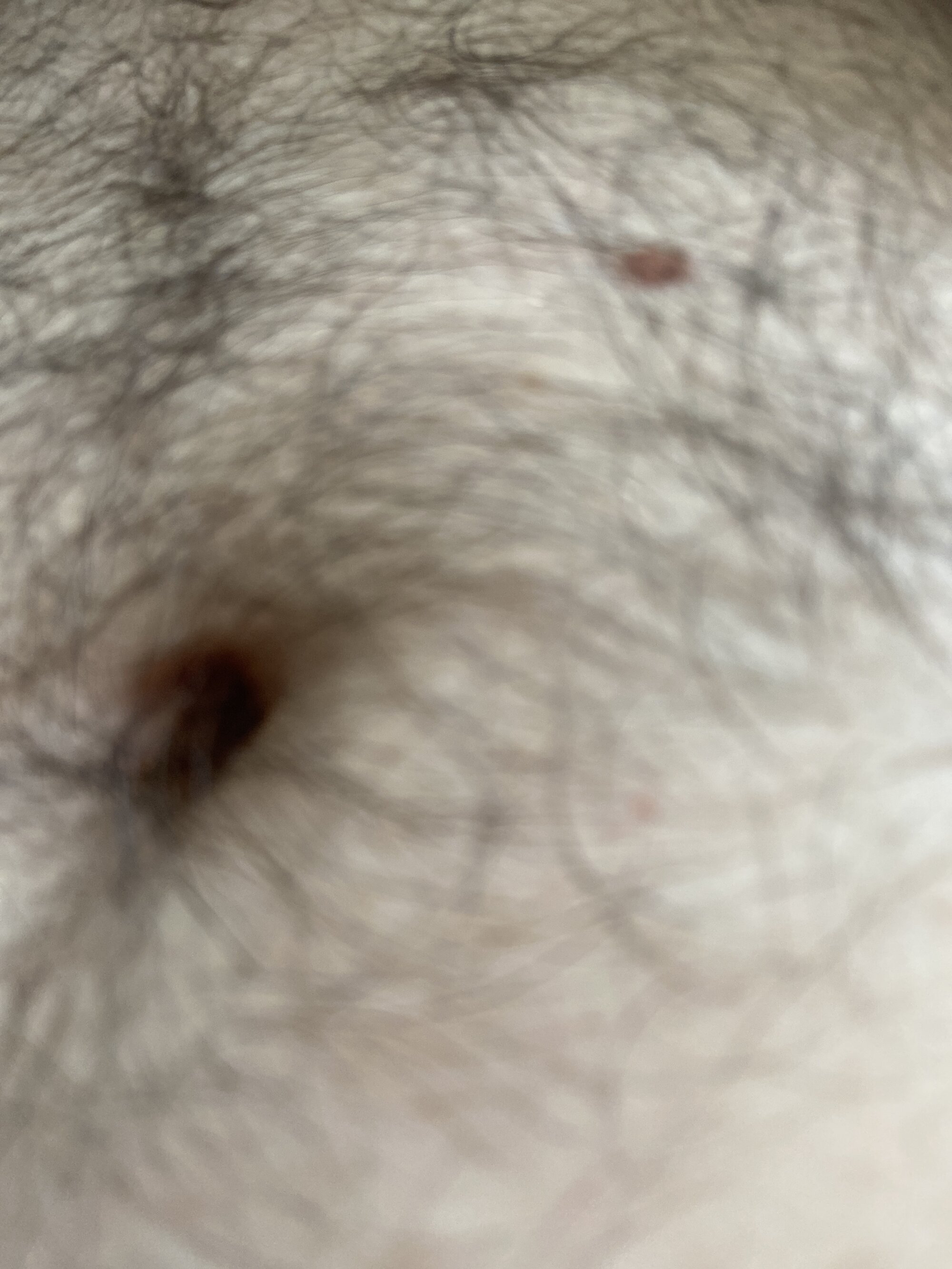 BIGDICK3202 live webcam