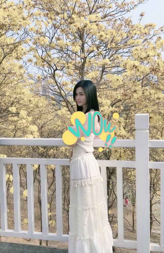 Snowbell-6