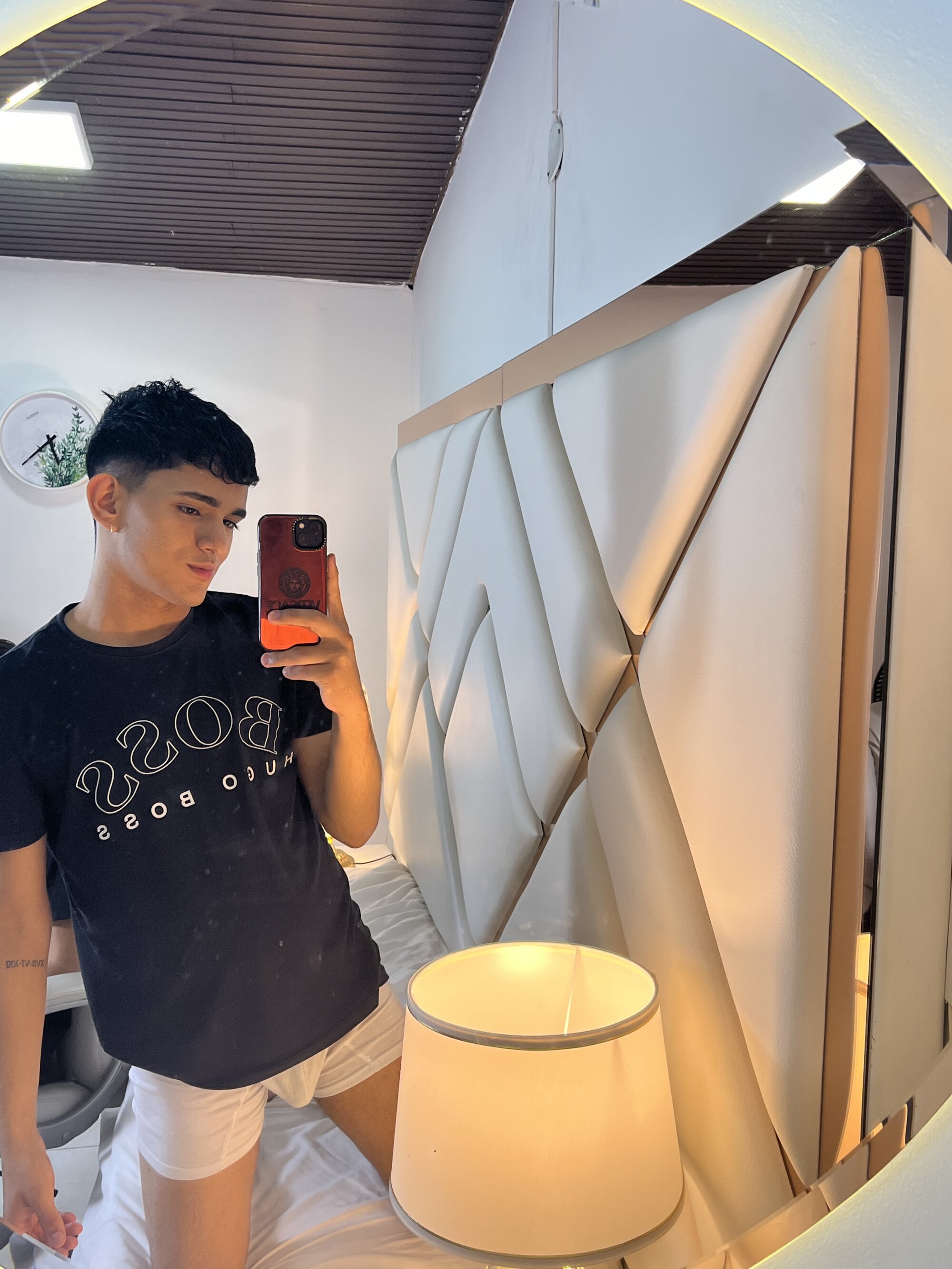 niall_falcon2