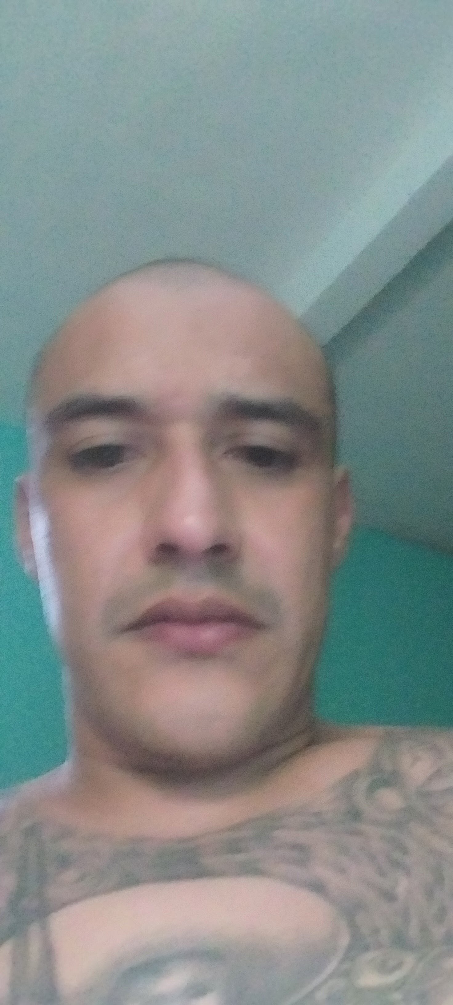 tvo3334