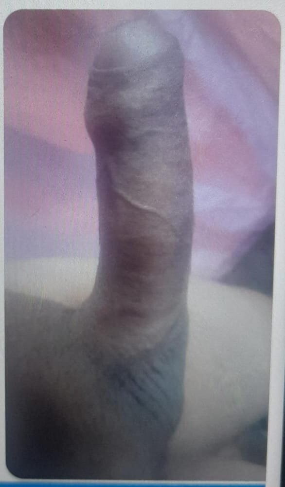 pandita86
