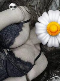 Sara-Arabica webcam thumbnail