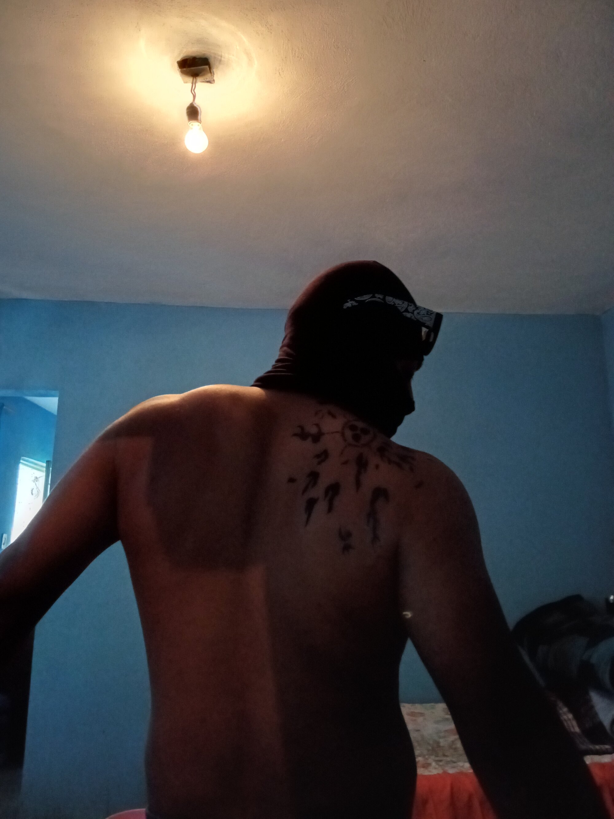 avefenix79
