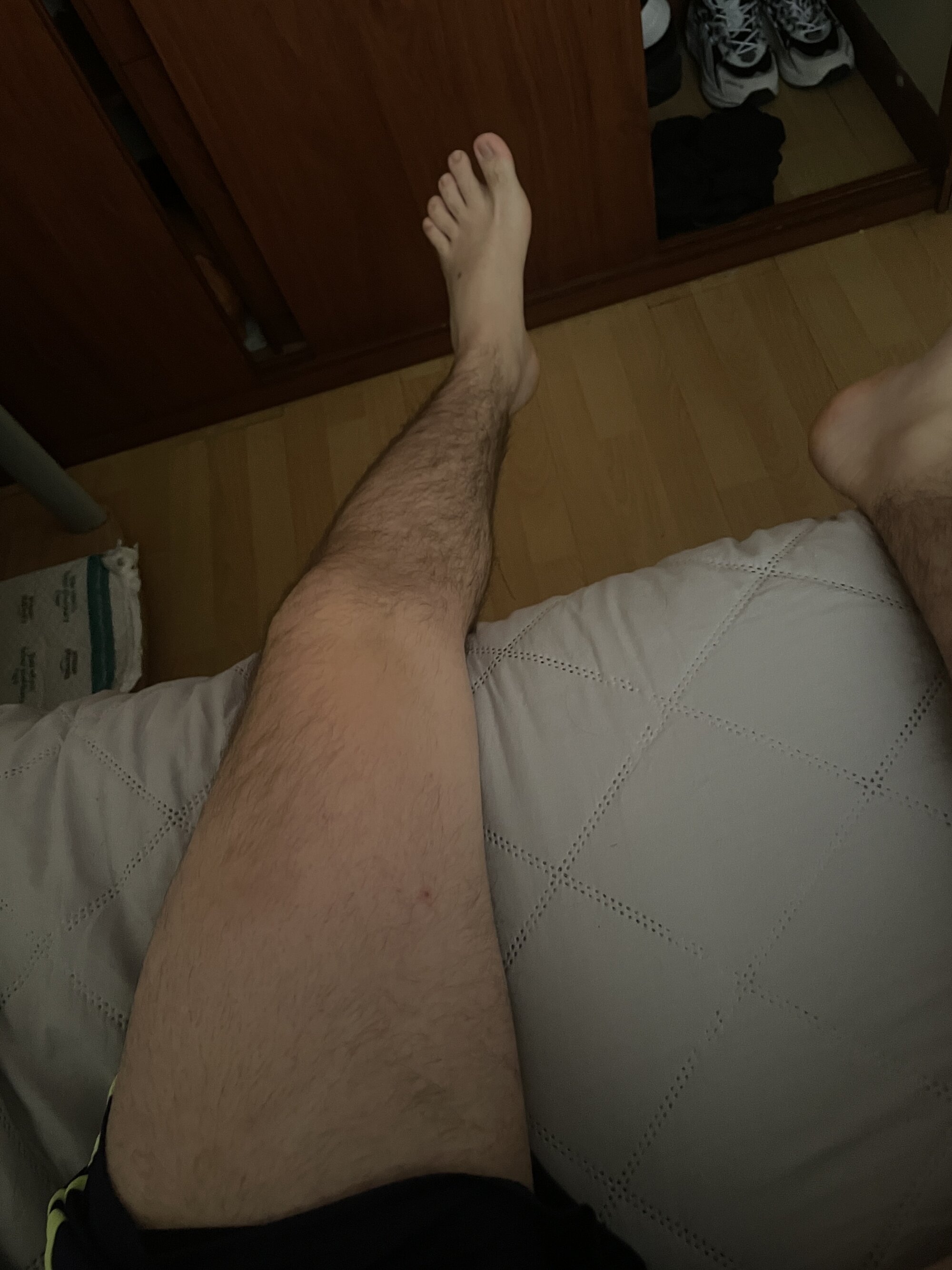 Felipegwt