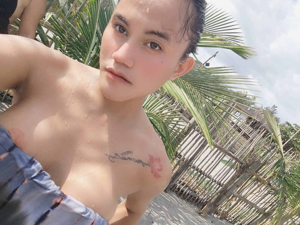 asiandominant@xh from stripchat