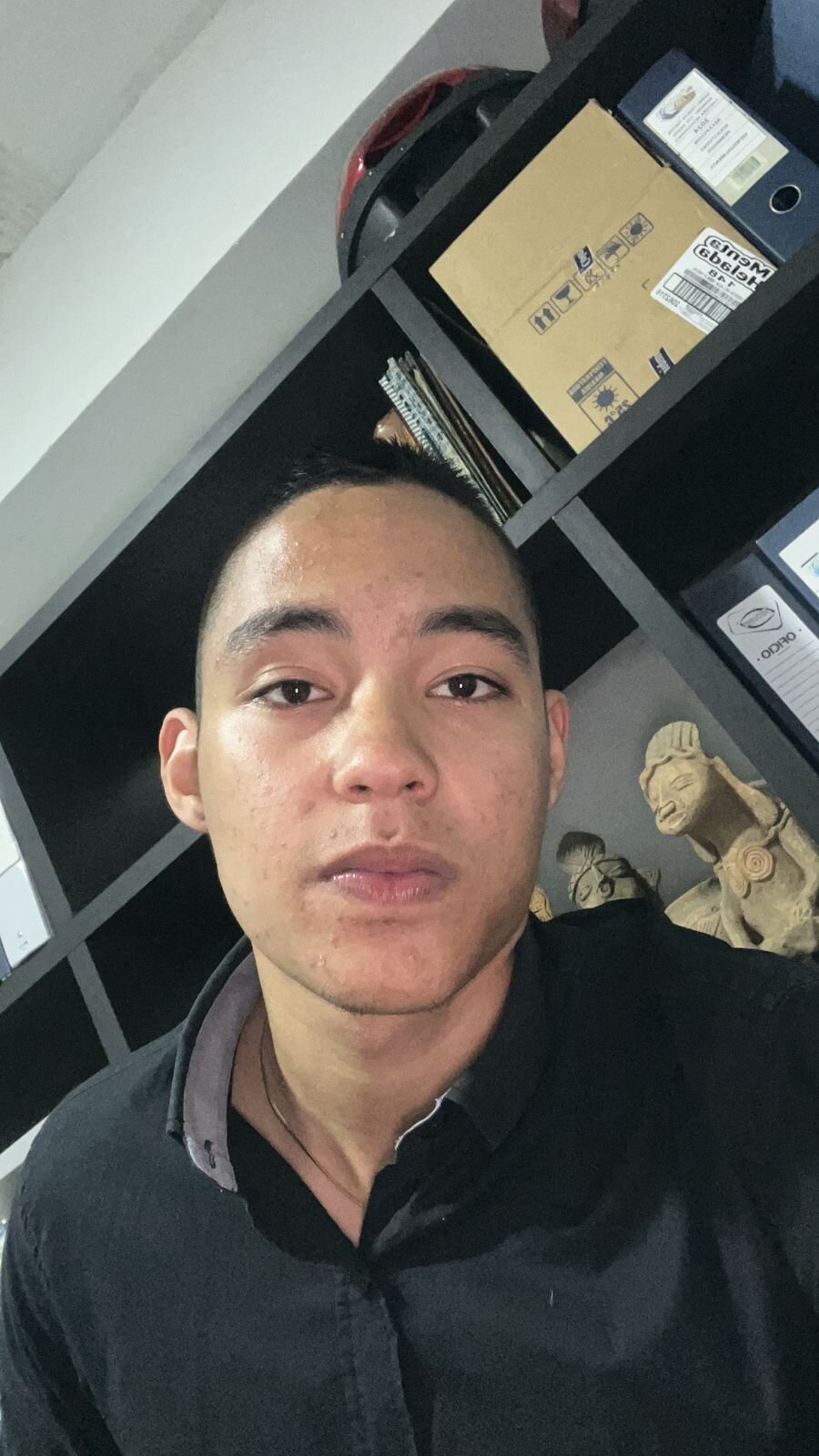 geminis_tauro444
