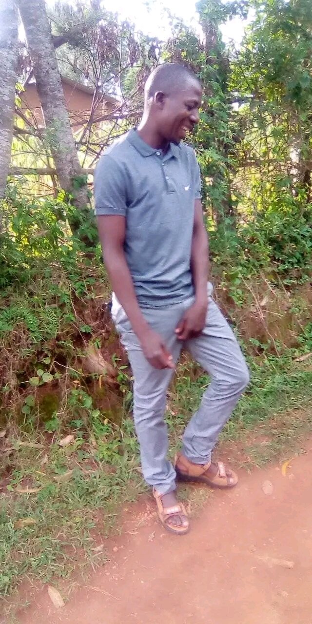 254loverboy