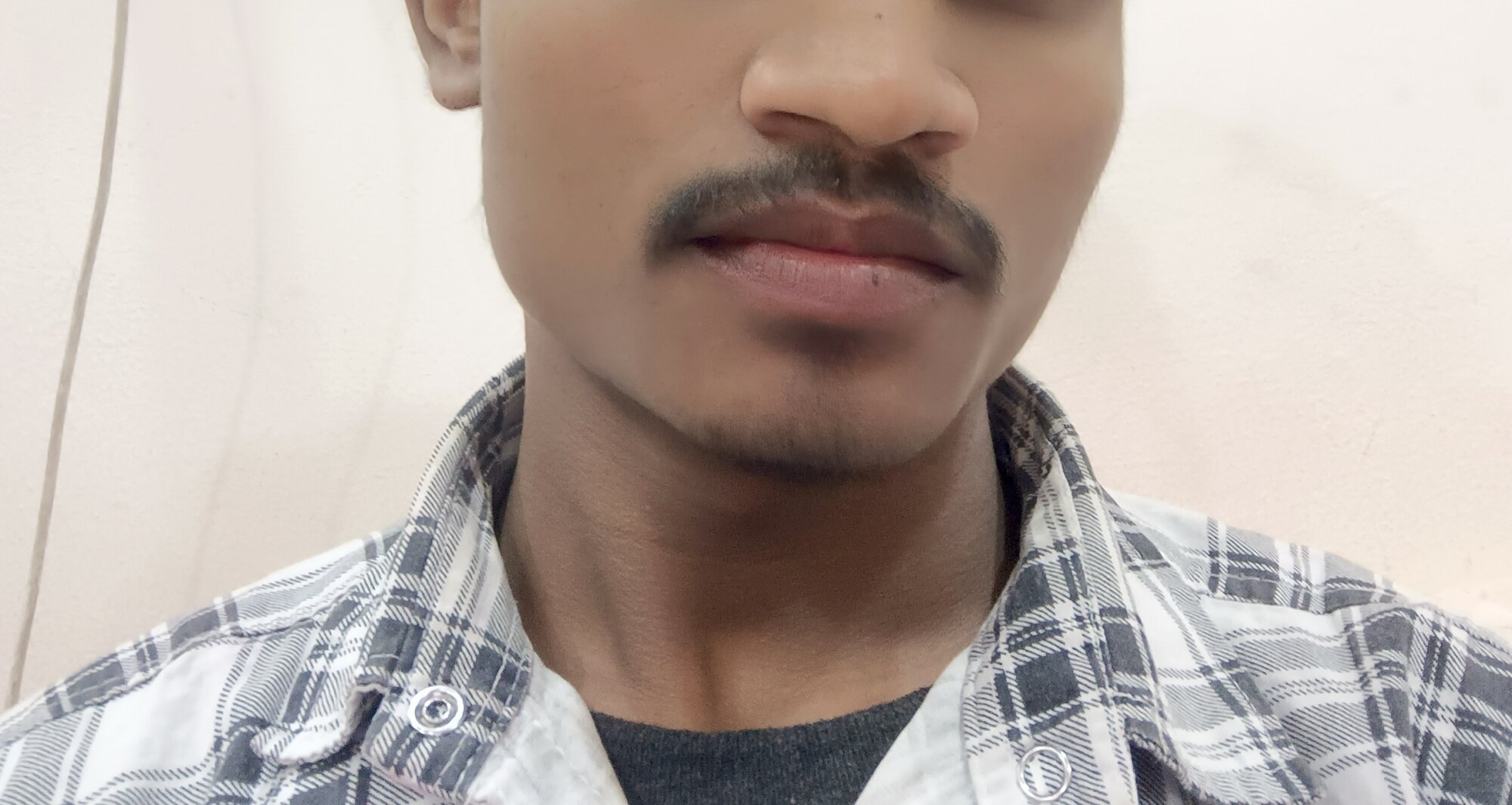 Mis_jay