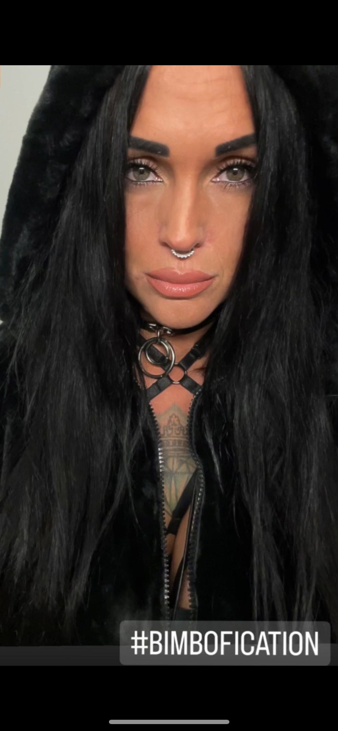 Missy___Bull