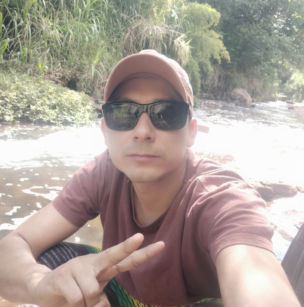 pallisinho profile
