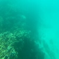 etalonnoir-25's webcam live show