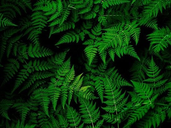 watchgirlcam.com xxxcosmicbitch livesex profile in titty cams