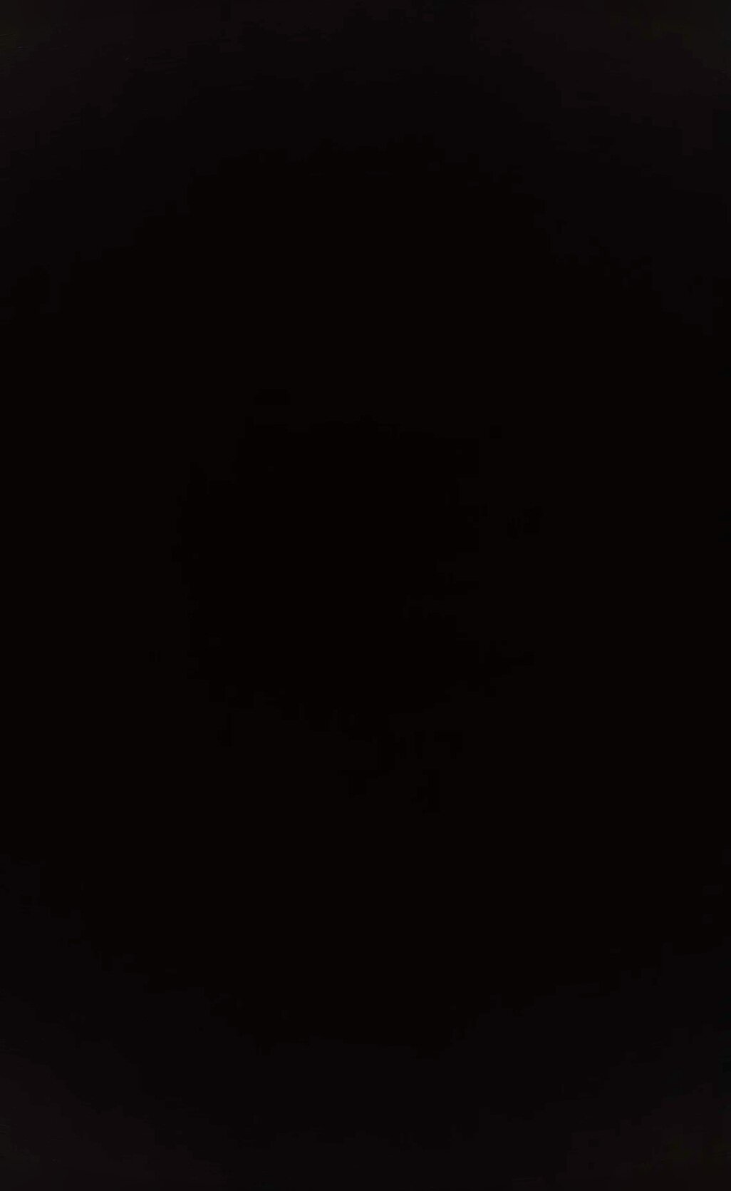 BlackTaurus