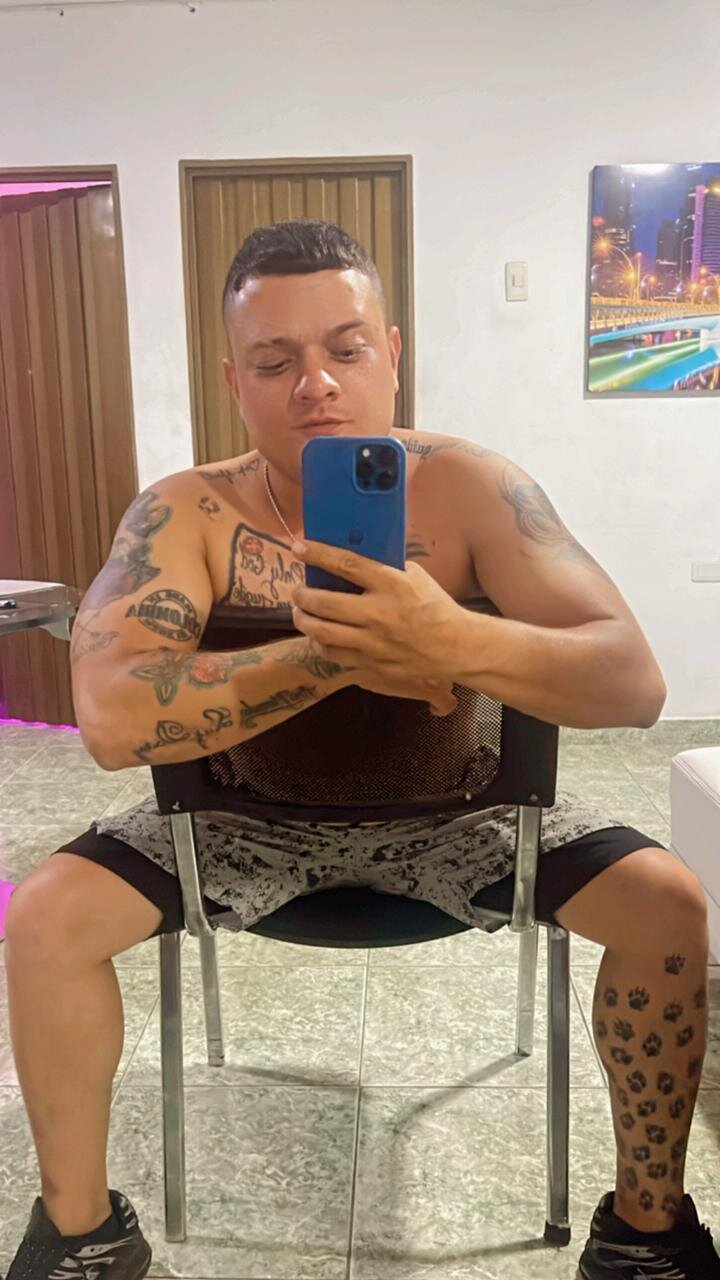 pitbullshow