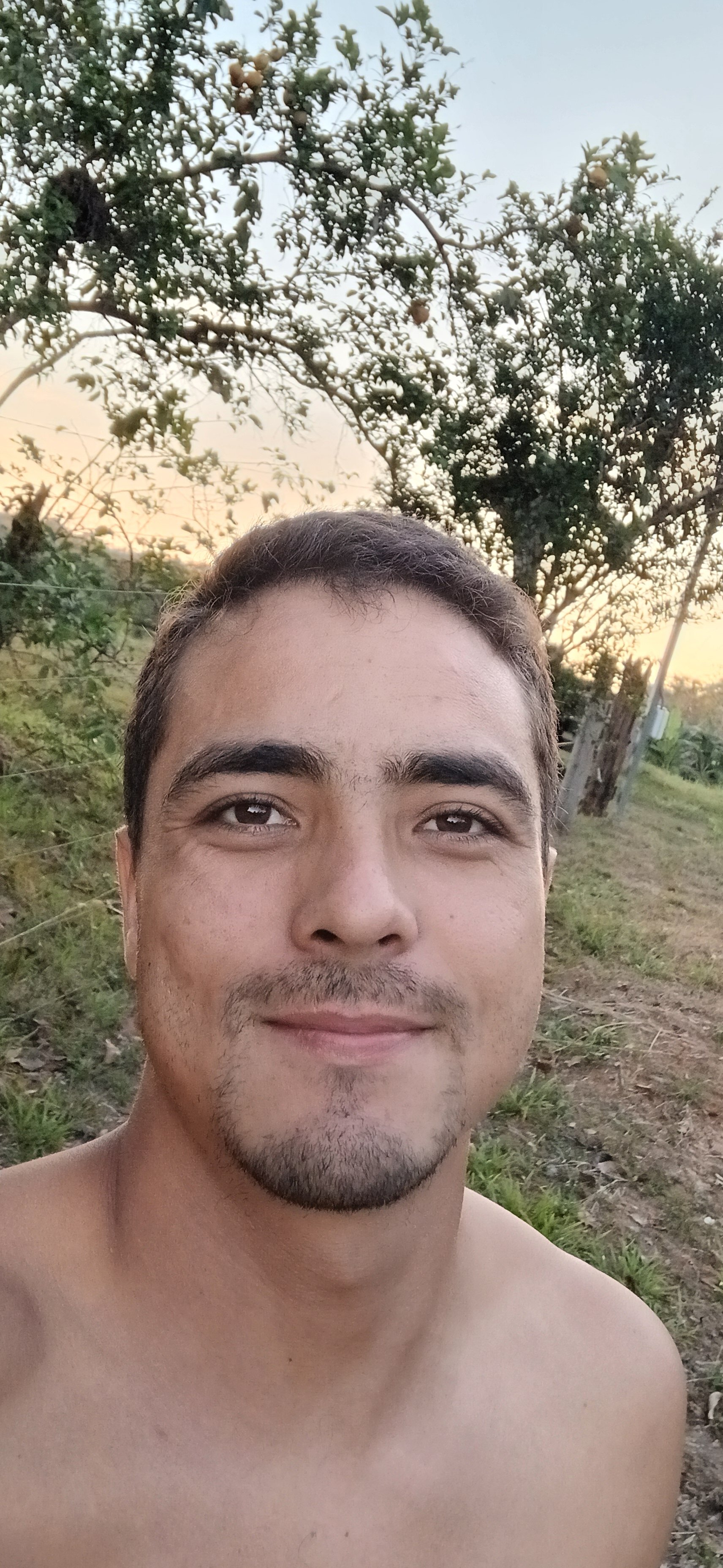 AifeLucas
