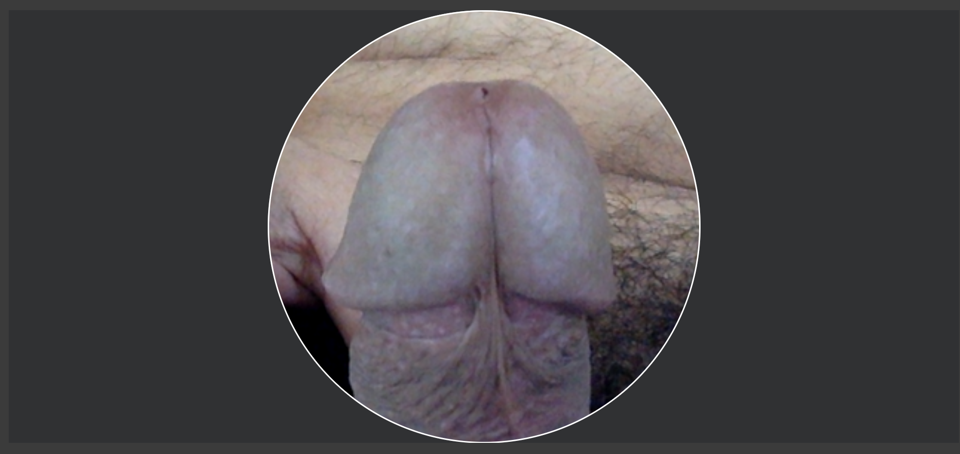 VideoArtist live webcam