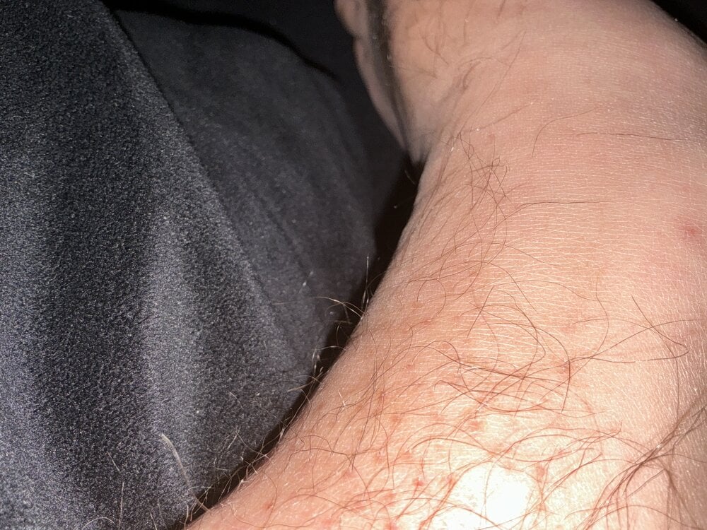 bobhank883 from stripchat