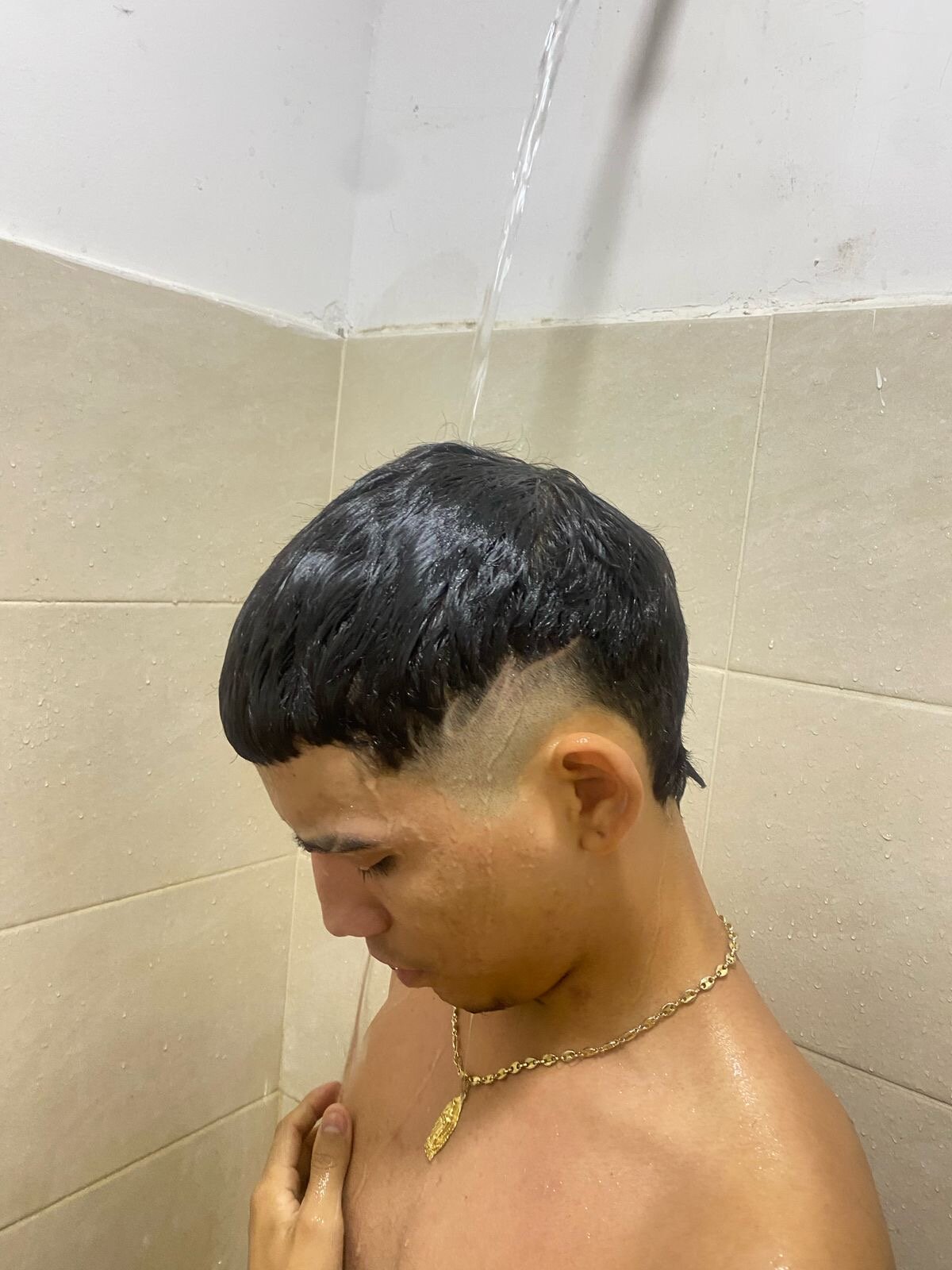 wilson_new