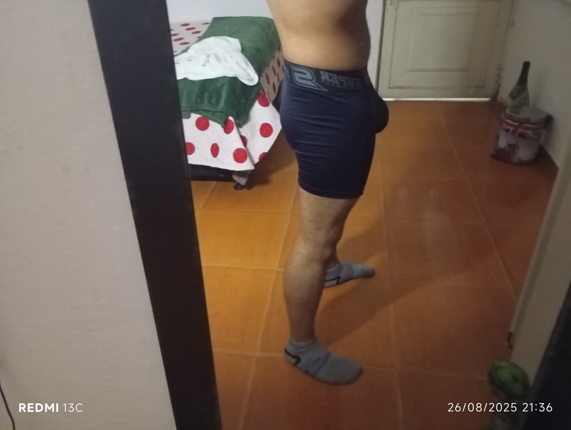 Alessandro_freyr