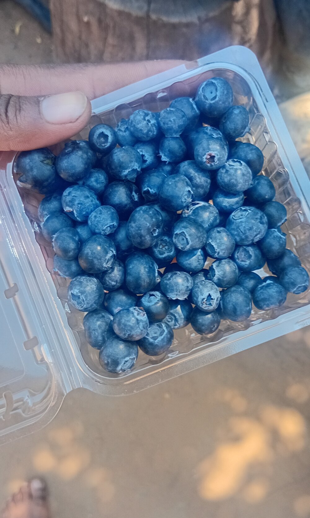 Chatroom XXX hors ligne de Thabo07164