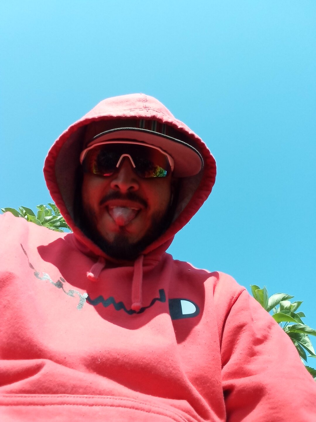 demoledo69