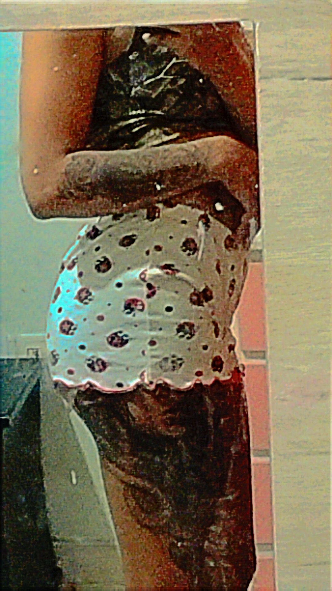 Cataleya_H