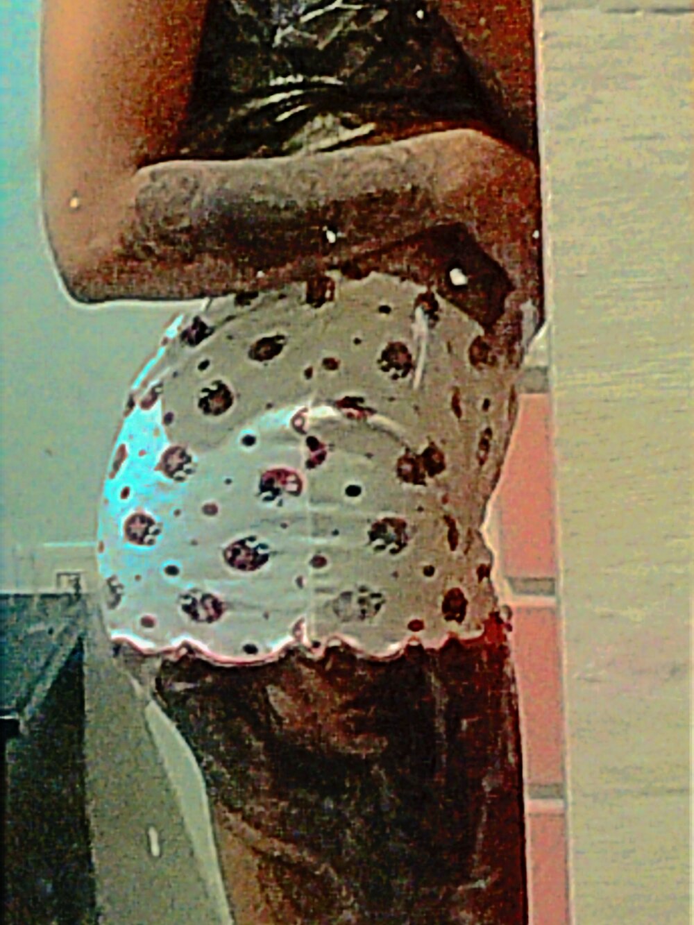 Cataleya_H profile