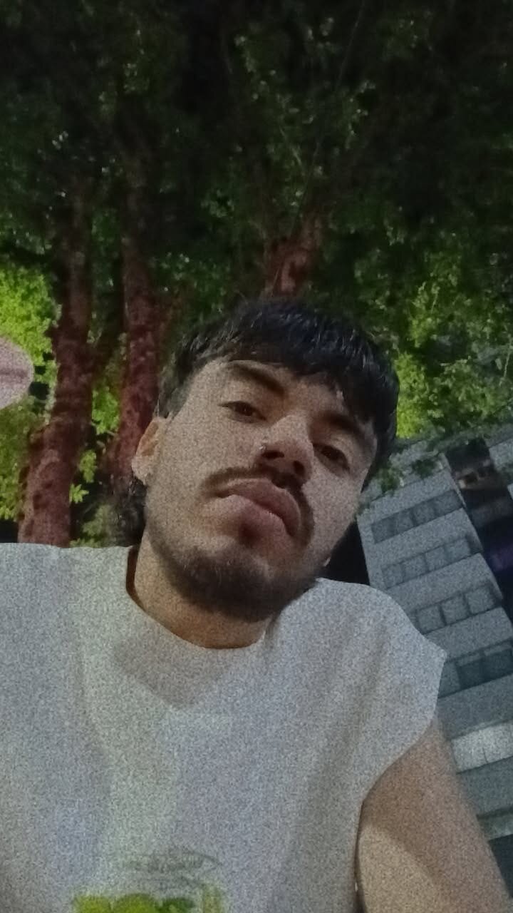 ZaynShadow