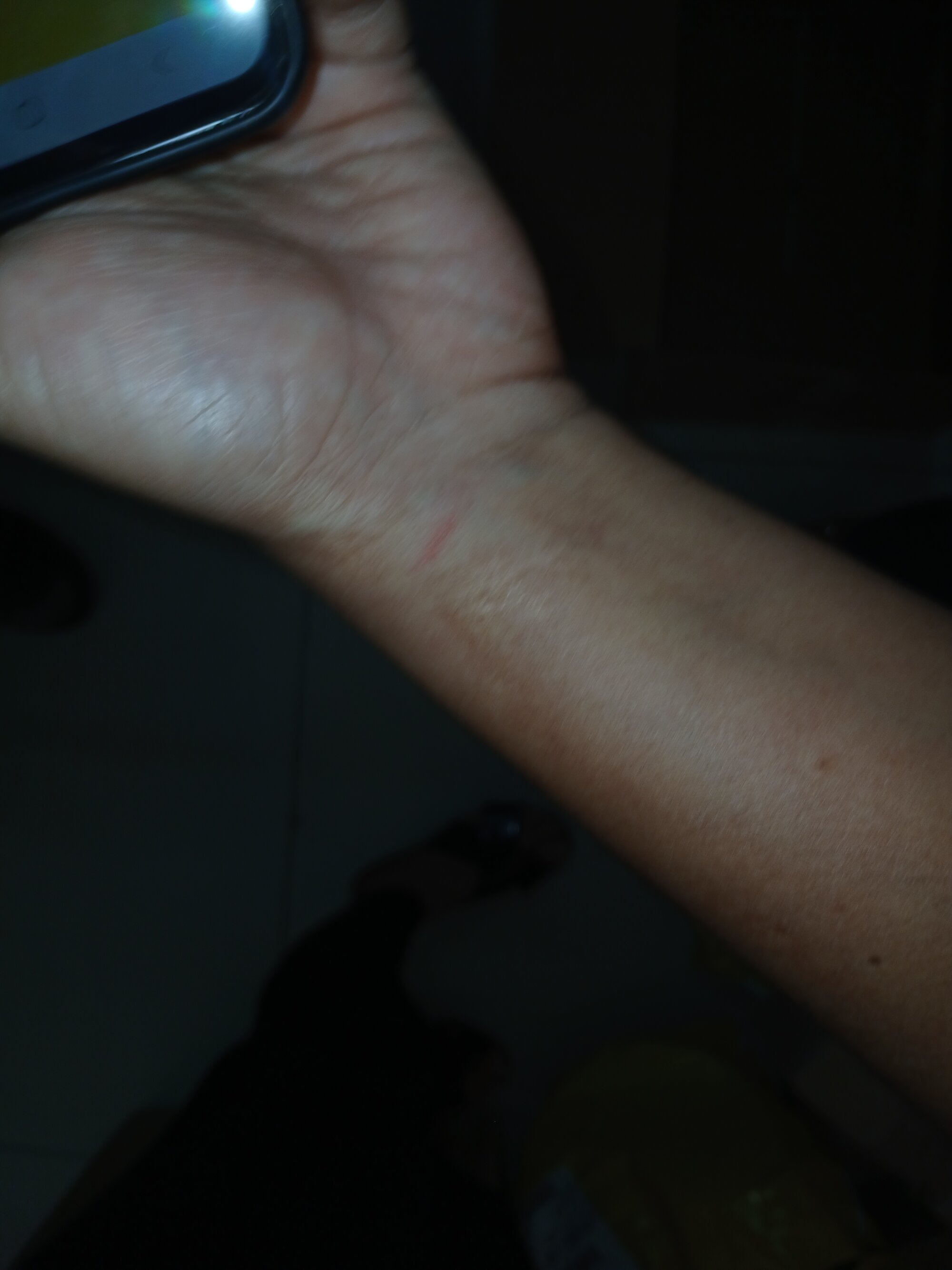 isabellasouza20