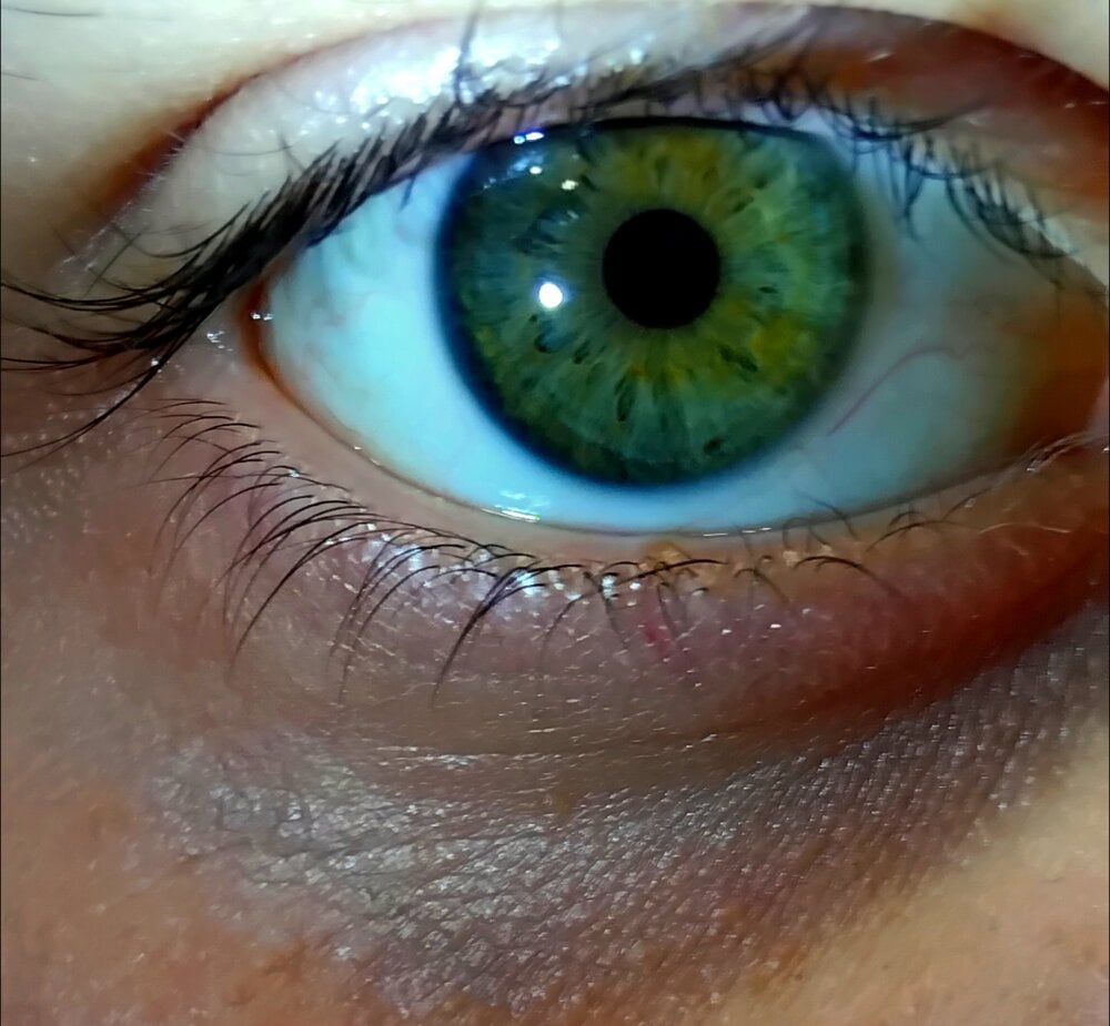 erdestruttor18 profile