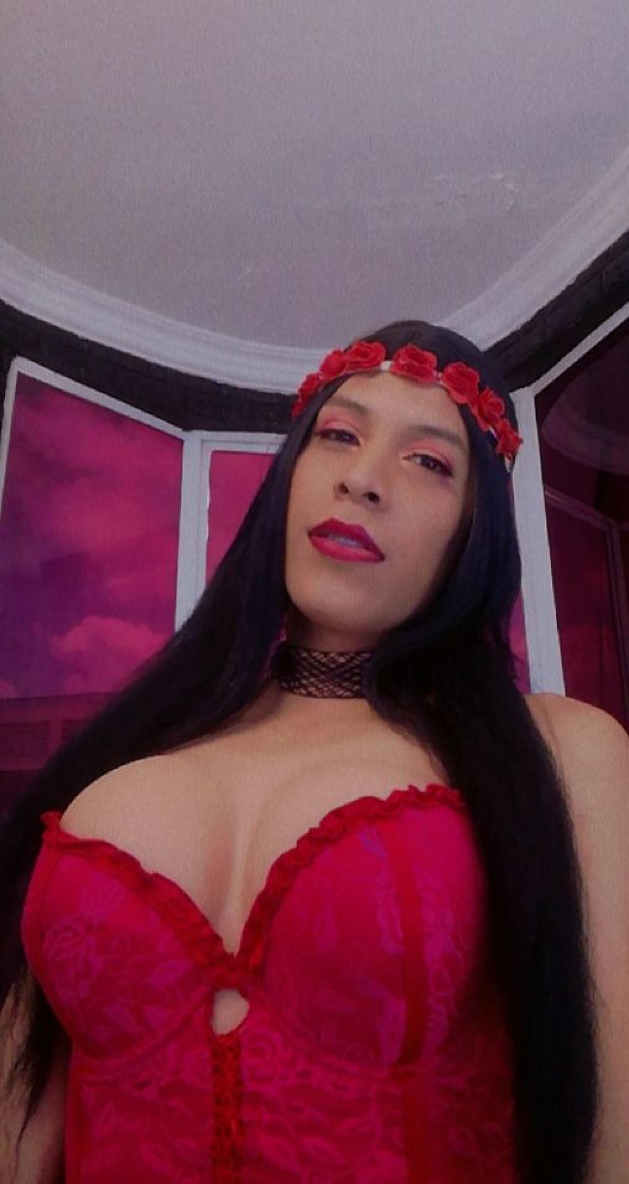 sofiatsfox